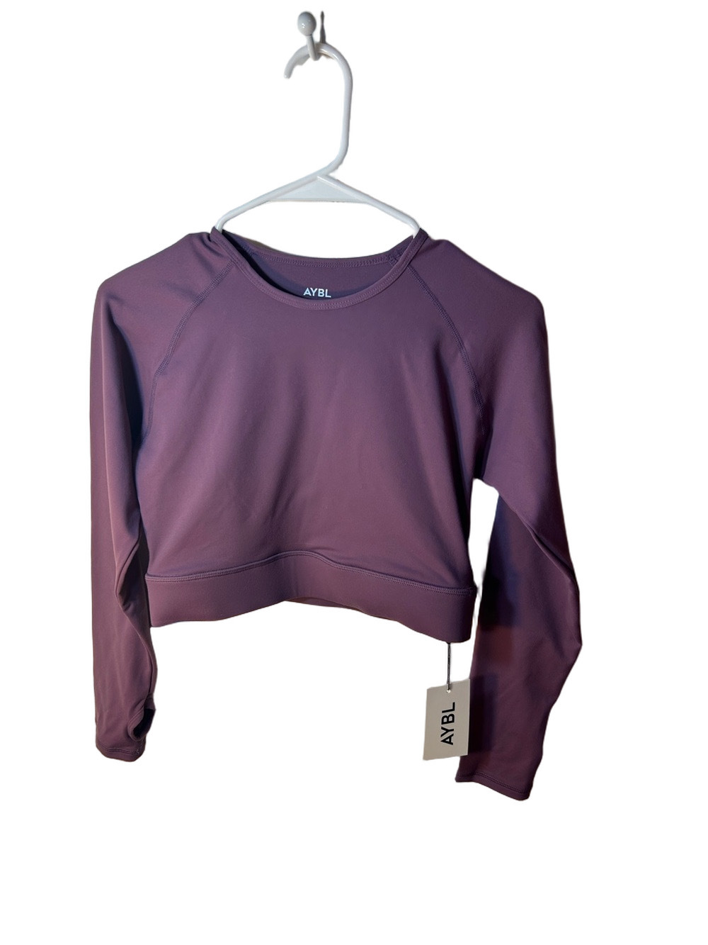 AYBL core Cropped Long-Sleeve Active Top — Mauve Purple